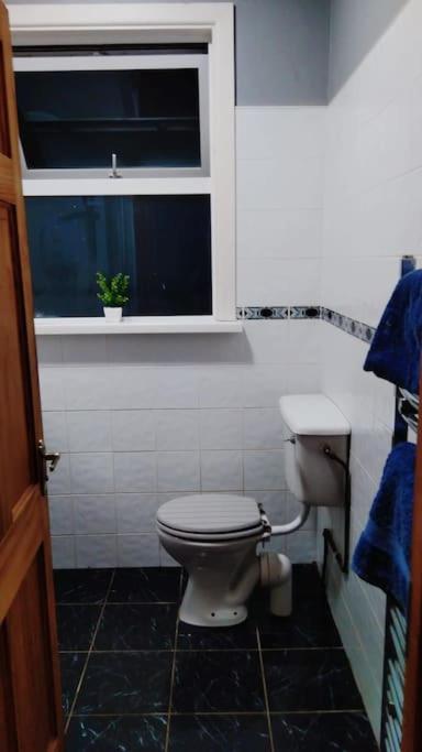 Cheerful Three Bedroom Country Cottage Ballina  Dış mekan fotoğraf